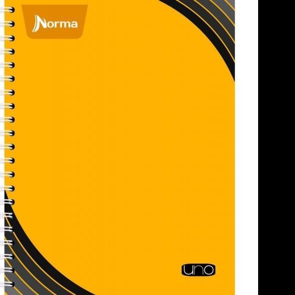 CUADERNO PROF. UNO NORMA 529994 C7 100H. PZA